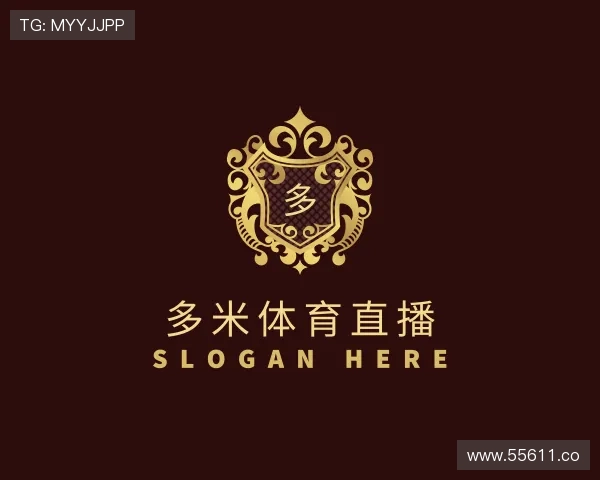 探究多米体育直播